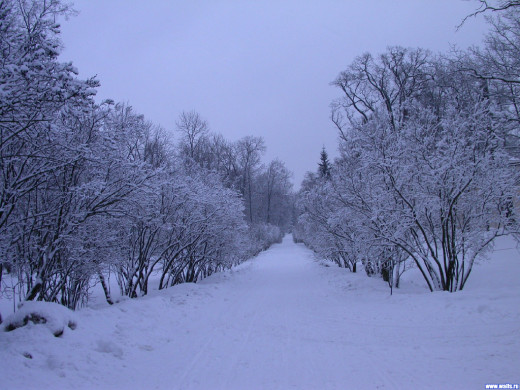 32525 (a): :1024x768